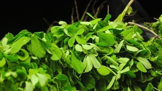 Fenugreek: మెంతులు లేదా మెంతికూర మధుమేహం నియంత్రణలో అత్యంత ప్రభావవంతంగా పనిచేస్తుంది. ఇది శరీరంలో గ్లూకోజ్ స్థాయిలను అదుపులో ఉంచడానికి, చెడు కొలెస్ట్రాల్ తొలగించడంలో సమర్థవంతంగా పనిచేస్తున్నట్లు పలు అధ్యయనాలు వెల్లడించాయి.