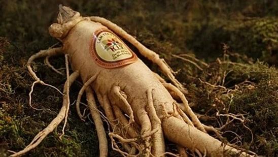 Ginseng: జిన్సెంగ్ సాధారణం ఉత్తర అమెరికాలో పెరిగే మొక్క. మన వద్ద కూడా పలు సూపర్ మార్కెట్లలో, ఆన్‌లైన్‌‌లో లభిస్తుంది. దీనిని తింటే ఇది రక్తంలో గ్లూకోజ్ స్థాయులను సమర్థవంతంగా అదుపులో చేస్తున్నట్లు వెల్లడైంది.