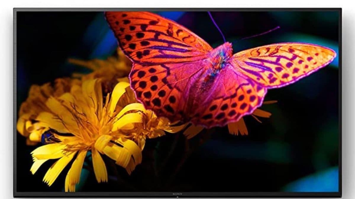 Sony Bravia 4K Ultra HD Android LED TV జాబితాలో రెండవ స్థానంలో ఉంది. ఇది వాయిస్ శోధన, Google Play, Chromecast, HDR గేమింగ్, Google Assistant, Apple Airplay, Alexa Built-in, Motionflow XR టెక్నాలజీ, X-ప్రొటెక్షన్ ప్రోలను కలిగి ఉంది. ఇది Bixby ఫీచర్‌తో కూడా వస్తుంది. ఇది కనెక్ట్ చేయబడిన పరికరాలను, కంటెంట్‌ను ఒకే రిమోట్‌తో నియంత్రించడానికి వినియోగదారులను అనుమతిస్తుంది. 4K అల్ట్రా HD ఆండ్రాయిడ్ LED TV 43 అంగుళాల (108 cm) వేరియంట్‌లో అందుబాటులో ఉంది. దీని ధర 69,990 రూపాయలు.