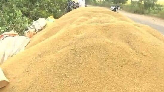 AP Paddy Procurement : ఏపీ రైతులకు గుడ్‌న్యూస్.. ధాన్యం సేకరించిన 48 గంటల్లోనే..