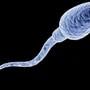 Low Sperm Count: పురుషుల్లో స్పెర్మ్ కౌంట్ తగ్గడానికి గల కారణాలు ఇవే!