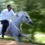 Kim horse rides video: కిమ్‌ మహారాజా దర్పం .. సార్‌లో న్యూ యాంగల్