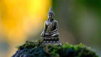 Meditation Budha