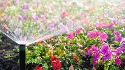 Sensor based irrigation