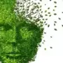 Alzheimer: ఈ లక్షణాలు కనిపిస్తున్నాయా..?  మీరు అల్జీమర్స్ బారిన పడినట్టే!