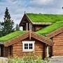 <p>Green Roof</p>