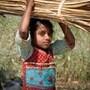 World Day Against Child Labour | పసి పిల్లలు వారు.. పని పిల్లలు కాదు!