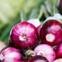 Onion Peel Benefits | ఉల్లిపాయ ఒలిచి పొట్టును పారేయకండి.. టీ చేసుకోని తాగండి!