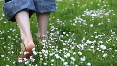 Walking on dew grass