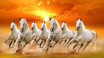 7 horses picture