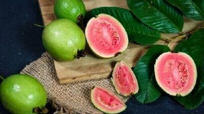 Guava Leaf & Fruit Health Benefits