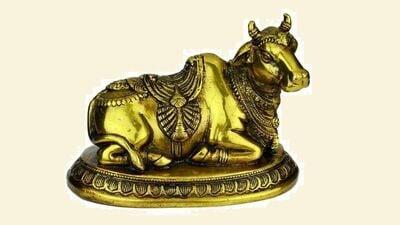 Nandi Bull Idol at Home