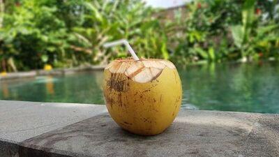 Rotten Coconut Water Killed a Man