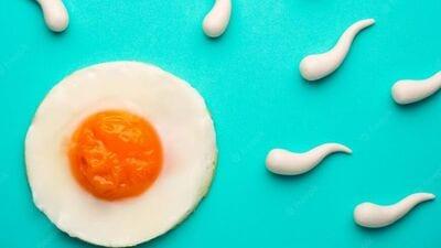 Foods To Increase Sperm Count: