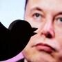 Elon Musk Twitter : ‘ట్విట్టర్​ సీఈఓగా ఉండాలా? వద్దా?’- ఎలాన్​ మస్క్​ పోల్​!