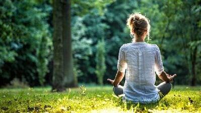  Vipassana Meditation-