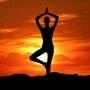 Yoga for Nervous System : మీ నాడీ వ్యవస్థను మెరుగుపరచుకోవాలంటే.. ఈ ఐదు ఆసనాలు వేసేయండి..