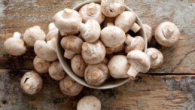 Mushrooms for Youthful Look