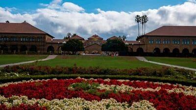 Stanford University: కాలిఫోర్నియాలో ఉన్న స్టాన్ ఫర్డ్ యూనివర్సిటీ మేనేజ్ మెంట్ స్టడీస్ కు ఫేమస్. రీసెర్చ్, ఇన్నోవేషన్ కు ఇక్కడ ప్రాధాన్యత ఇస్తారు.&nbsp;