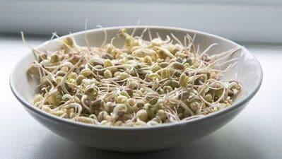 Sprouts Health Benefits