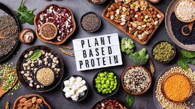 Vegetarian Protein Foods