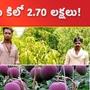 Most expensive mango in the world 2.70 lakh Per KG
