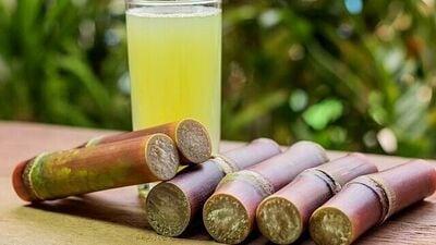 Sugar Cane Juice for skin and hair