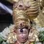 <p>మదురై మీనాక్షి అమ్మ ఆలయంలో వసంతోత్సవం కొనసాగుతోంది. 8 రోజులుగా ఉత్సవాలు వైభవంగా సాగుతున్నాయి.</p>