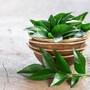 curry_leaves_water_Benefits_